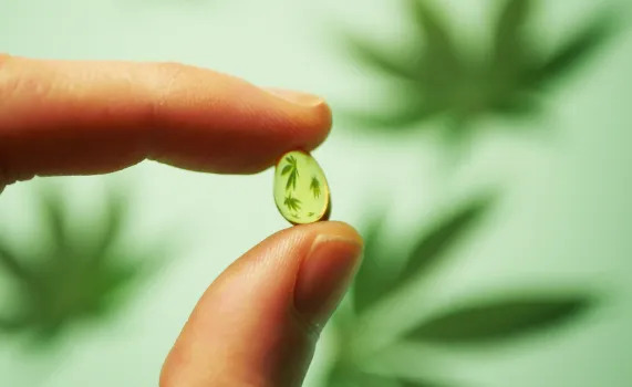 Hand holding a cannabis capsule for microdosing cannabis benefits.