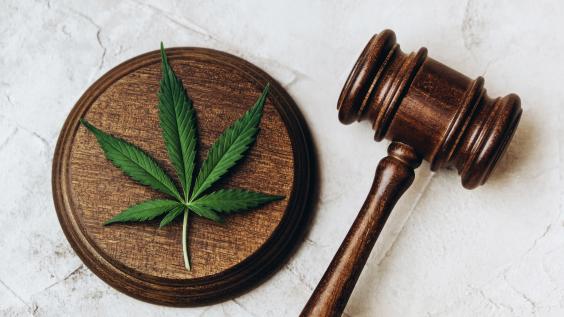 Gavel and cannabis leaf symbolizing cannabis legalization and law
